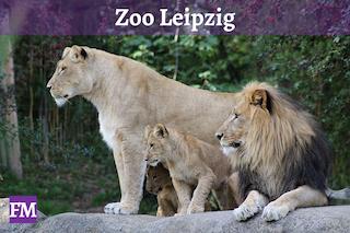 Zoo Leipzig Sehenswürdigkeit