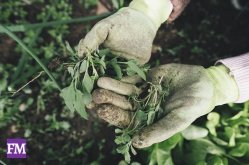 Im Frühjahr Garten fit machen